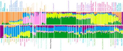 Fine-Scale Population Admixture Landscape of Tai–Kadai-Speaking Maonan in Southwest China Inferred From Genome-Wide SNP Data